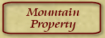 Mountain Property